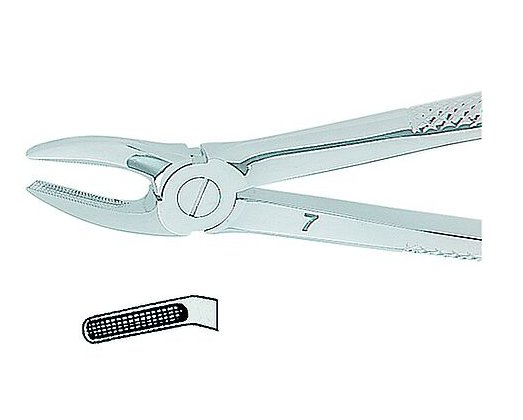 Kohler-Extracting Forceps English No. 7 MEDIUM